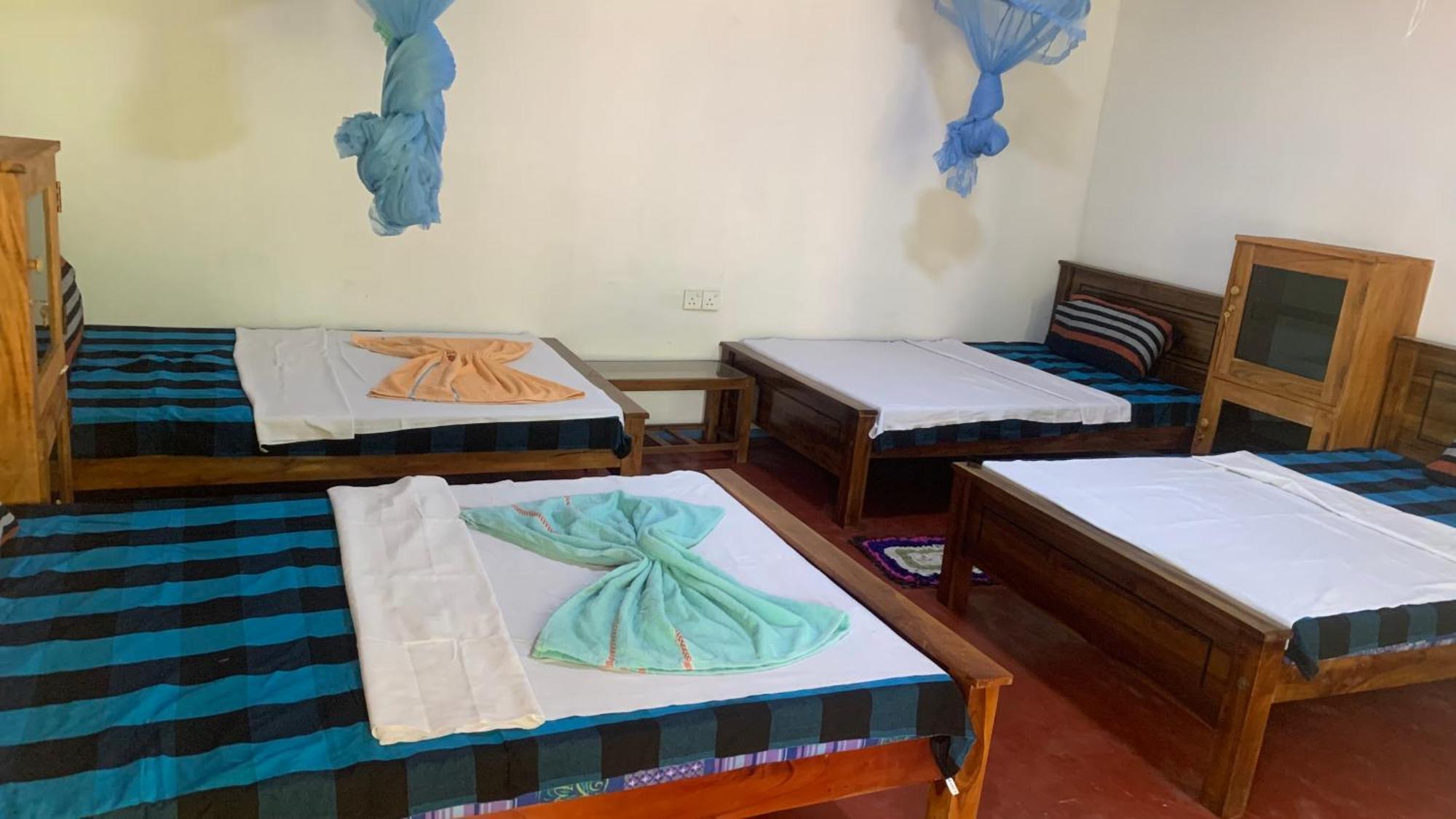 Sigiri Birds Hostel Sigiriya Esterno foto